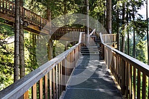 Tree-top walk in Saalbach-Hinterglemm valley, Alps Mountains, Austria, summer day