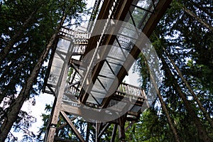 Tree-top walk in Saalbach-Hinterglemm valley, Alps Mountains, Austria, summer day