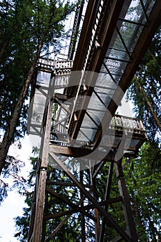 Tree-top walk in Saalbach-Hinterglemm valley, Alps Mountains, Austria, summer day