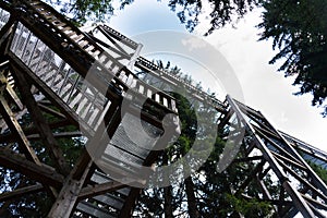 Tree-top walk in Saalbach-Hinterglemm valley, Alps Mountains, Austria, summer day