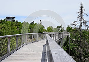 tree top walking path through the Laurentians