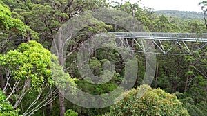 Tree tops walkway at Walpole Western Australia in autumn.