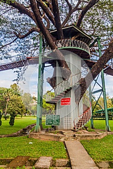 Tree tower and suspension bridges in People\'s Park in yangon, Myanm