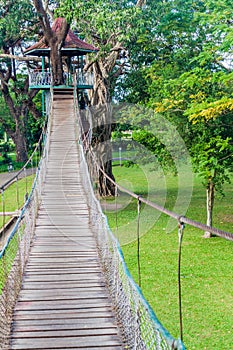 Tree tower and suspension bridges in People\'s Park in yangon, Myanm