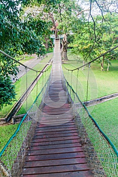 Tree tower and suspension bridges in People\'s Park in yangon, Myanm