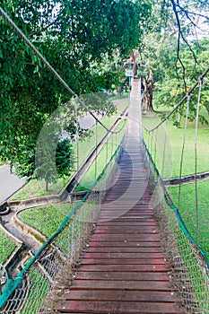 Tree tower and suspension bridges in People\'s Park in yangon, Myanm