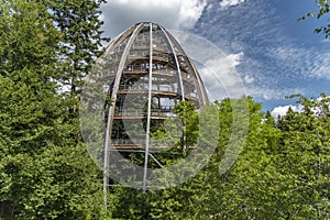 Tree tower, Tree Top Walk, Bavarian Forest National Park, NeuschÃ¶nau, Bavaria, Germany