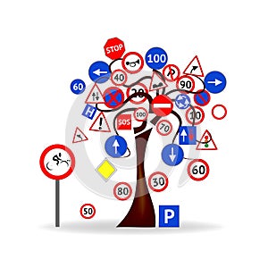 Tree with traffic signals