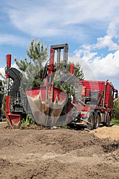 Tree transplanter heavy machine. machine for transplanting large trees. Planting large spruce trees in the park. photo