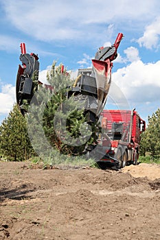 Tree transplanter heavy machine. machine for transplanting large trees. Planting large spruce trees in the park. photo