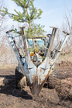 Tree transplanter heavy machine transports just dug up tree. Landscaping, seasonal agricultural engineering, large trees landing