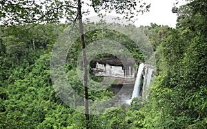 Tree tree water green waterfall ubonratchathani