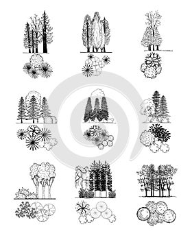 Tree and treetop symbols, vector set photo
