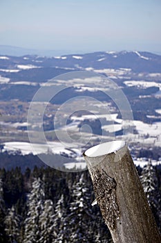 Tree trunk in the Bavarian Mountains at Winter Time