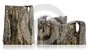 Tree trunk, branch tree dry cracked dark bark isolated on white background. clipping path