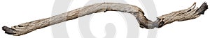 Tree trunk, branch tree dry cracked dark bark isolated on white background. Clipping path included