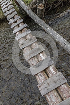 Tree trunk bridge over a creek