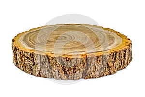 Tree trunk close-up, isolated on white background. Tree cross sections.