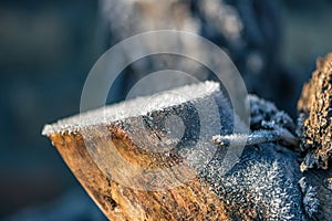 Tree trunk covered with ice crystals