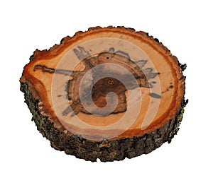 Tree trunk cross cut wood texture