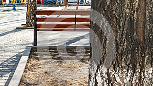 Tree Trunk, Empty Bench at the Paved Kids Playground Area in the Park on a Spring Afternoon with Long Shadows