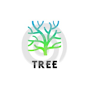 Tree Trunk Logo Design Inspiration