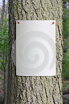 Tree Trunk with Paper Poster Pinned to it