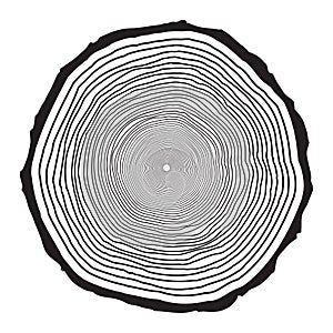 Tree trunk rings design isolated on white background