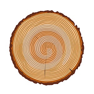 Tree trunk rings vector texture photo