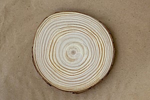 Tree Trunk Slice with Annual Rings on Nature Brown Background, Copy Space. Directly Above View. Environmental Protection