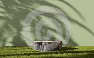 Tree trunk stump stand or podium on the green grass of a garden for natural product display