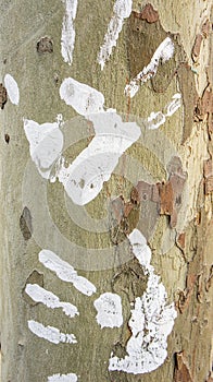 Tree trunk texture with white painted handprints