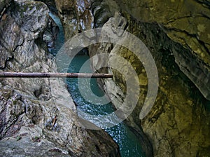 Tree trunk trapped by water in the gorge