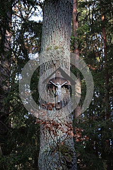 Tree trunk with a wooden cross and Jesus Christ crucifixion