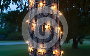 Tree trunk decorated with string lights for outdoor party or garden lighting