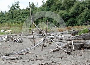 tree trunks on the beach forming a pyramid used by the homeless