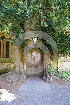 Tree trunks flanking historic church door photo