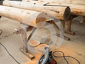 Tree trunks on wooden trestles