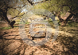 Tree tunnel and chair in vintage style