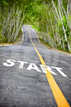 Tree tunnel with start word on asphalt road surface