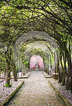 Tree tunnel with walkway and statue