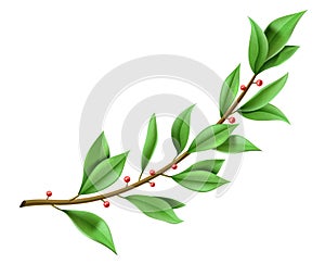 Tree twig laurel wreath with green leaves