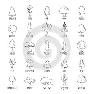 Tree types icons set, outline style