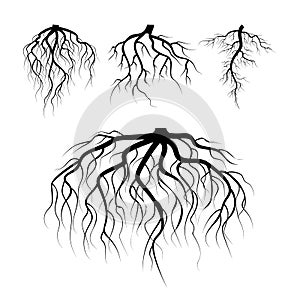 Tree Underground Roots Vector. Plant Underground Roots Set. Tree Root Black. illustration Of Plant Silhouette Root