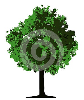 Tree (vector)