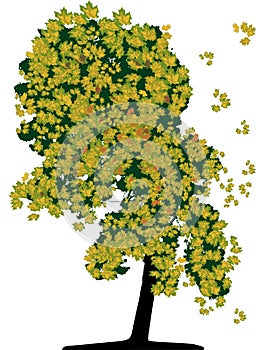 Tree (vector)