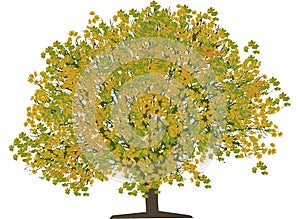 Tree (vector)