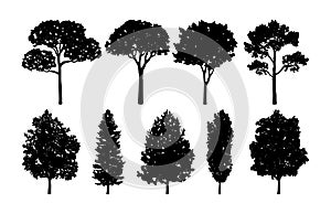 Tree Vector Collections Set