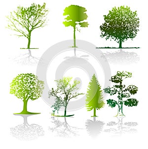 Tree - vector illustration