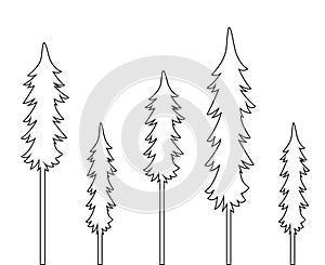 Tree Vector Illustration. Black and white outline. Coloring book for kids.